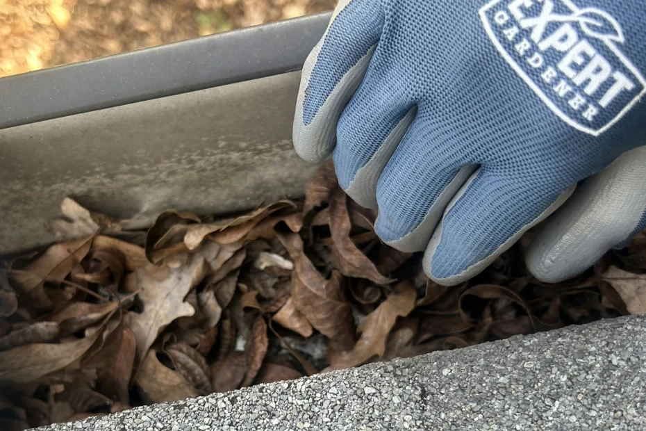 Gutter Cleaning Kansas City, KS